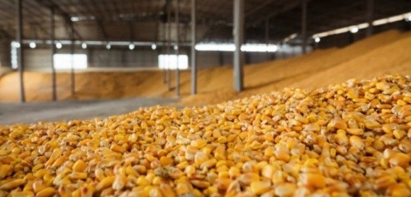Станом на 15 грудня п.р. Україна експортувала 8 млн тонн кукурудзи фото, ілюстрація