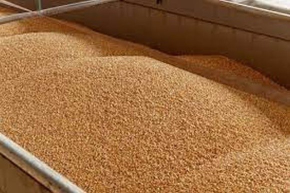 Україна експортувала все заплановане зерно минулого урожаю, – Сольський фото, ілюстрація