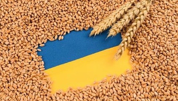 Латвія виділила чергові 50 тис. євро на програму «Зерно з України» фото, ілюстрація