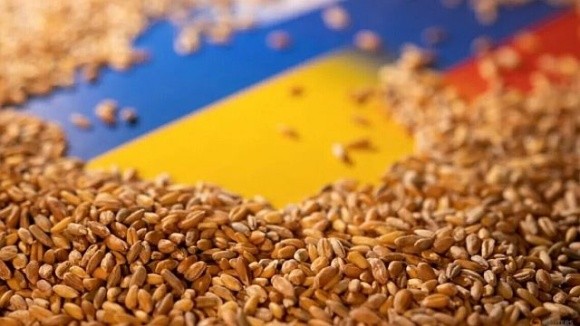 На роботу програми «Зерно з України» вже акумульовали $100 млн фото, ілюстрація