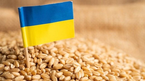 Україна готова постачати продовольство на світовий ринок навіть в умовах війни, – Сергій Кислиця фото, ілюстрація