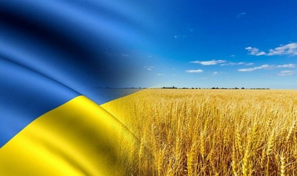ЄС посилить перевірки перевізників, які вивозять зерно з України, – єврокомісар фото, ілюстрація