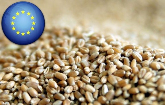 Озвучені перші підсумки врожаю зернових в ЄС фото, ілюстрація