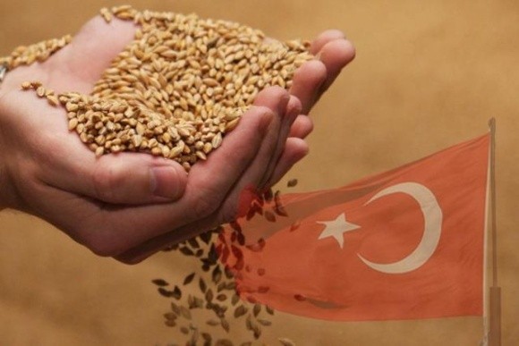 Туреччина обнулила ввізне мито на пшеницю, ячмінь і кукурудзу фото, ілюстрація