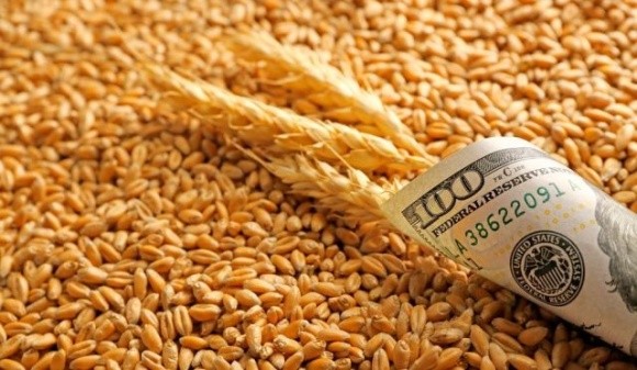 Заява росії про вихід із зернової угоди спровокувала зростання цін на пшеницю фото, ілюстрація