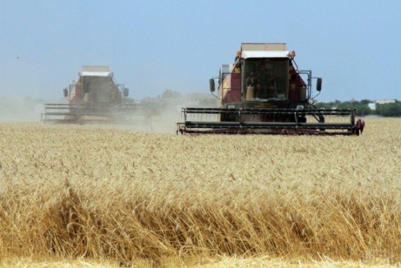 Урожай зернових уже на 5 мільйонів тонн перевищує минулорічний фото, ілюстрація