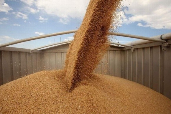 Україна вже експортувала 34 мільйони тонн зернових фото, ілюстрація