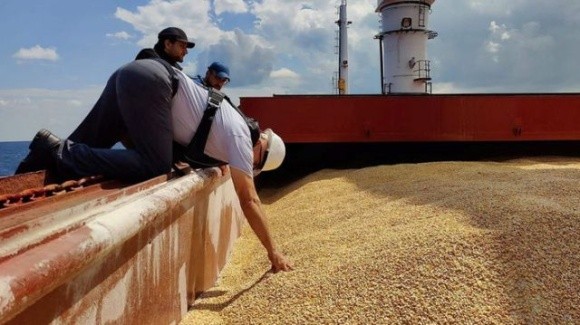 Наступного року деяким кораблям доведеться перевозити зерно без страховки фото, ілюстрація