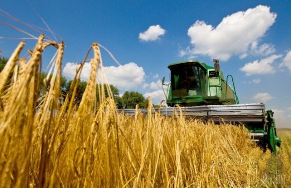 У 2019 році аграрії Вінниччини зібрали понад 6 мільйонів тонн зернових культур фото, ілюстрація