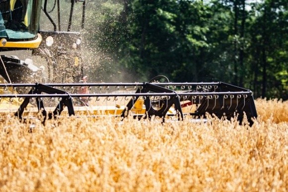 Урожай зерновых и масличных в Украине может превысить 96 млн тонн, — УЗА фото, иллюстрация