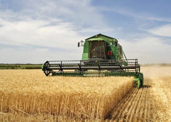 Аграрії намолотили понад 14 млн т зерна: Херсонщина та Миколаївщина лідирують фото, ілюстрація