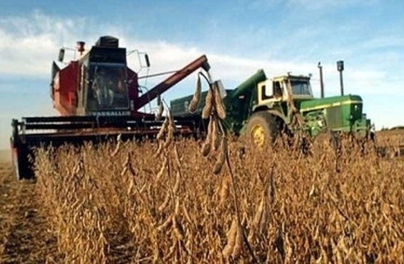 Аграрії України зібрали зернові та зернобобові з 83% площ фото, ілюстрація