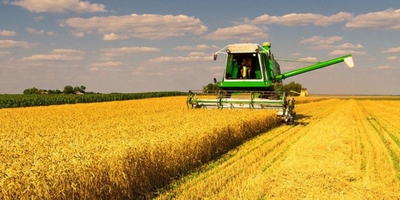 Перспективи нового зернового сезону: собівартість зростає, прибуток падає фото, ілюстрація