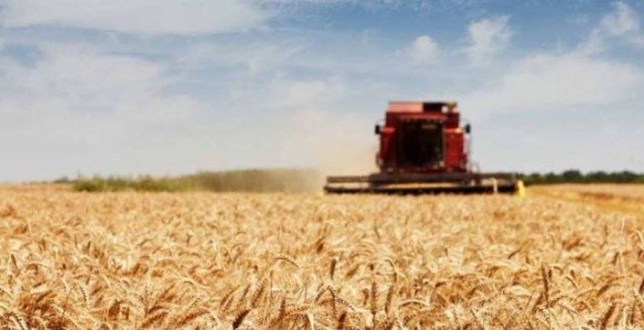В умовах війни фермери Харківщини змогли зібрали 1,5 млн тонн зернових та зернобобових культур фото, ілюстрація