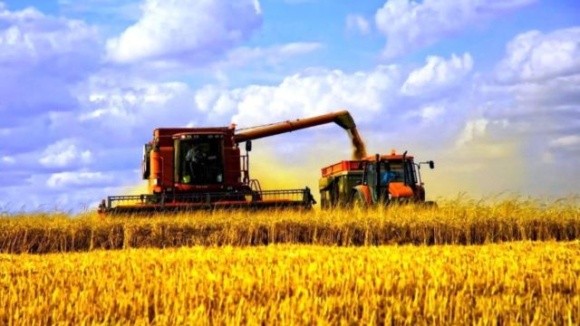Найвища врожайність зернових та зернобобових культур — на Хмельниччині фото, ілюстрація