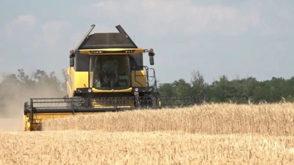 На Луганщині окупанти «націоналізували» 70 тис. тонн зерна нового врожаю фото, ілюстрація