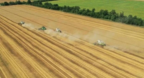 В Україні намолотили 29 млн тонн зернових та зернобобових фото, ілюстрація