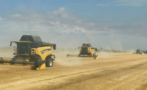 Жнива розпочались і на Вінниччині фото, ілюстрація