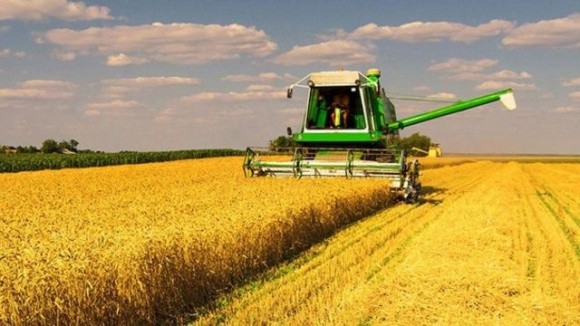 На Полтавщині очікують на "середню" врожайність зернових фото, ілюстрація