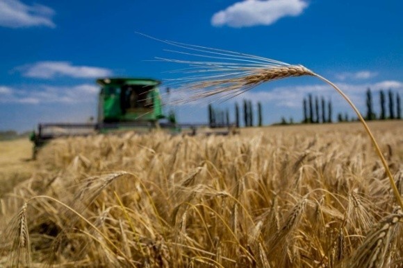 На Полтавщині стартували жнива: урожайність вища за середню по Україні фото, ілюстрація
