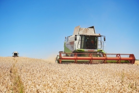 Темпи збирання зернових в Україні відстають від торішніх — експерти  фото, ілюстрація