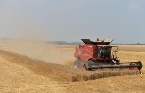  Українські та литовські аграрії зібрали більше зерна ніж білоруські господарства фото, ілюстрація