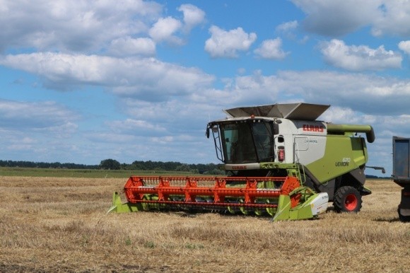 Урожай зернових в Україні зросте на 10-15%, — засновник агрохолдингу фото, ілюстрація