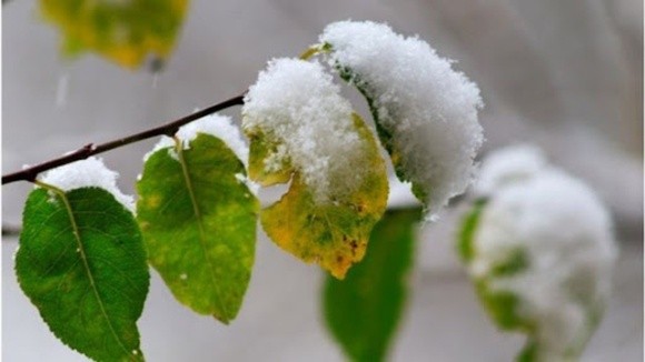 На українців чекає найхолодніший місяць року: синоптики розповіли про погоду на наступний місяць фото, ілюстрація