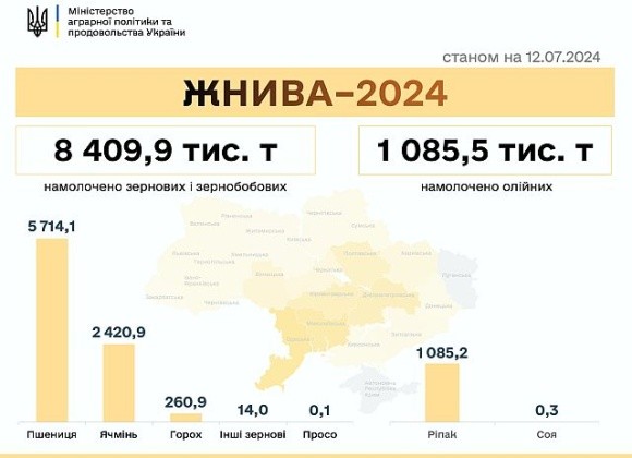 Жнива 2024: зібрали 9,5 млн тонн зернових та олійних фото, ілюстрація