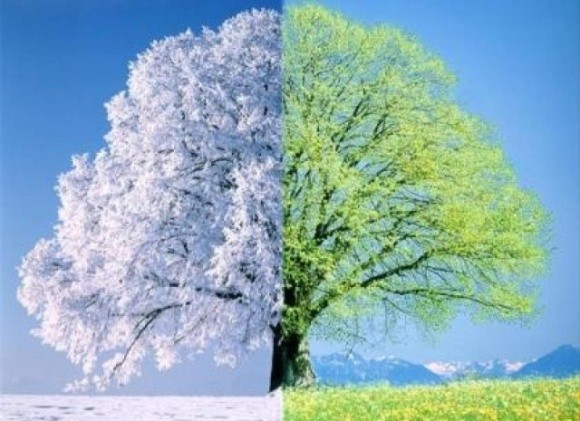Кількість зимових днів буде зменшуватися, — Кульбіда  фото, ілюстрація