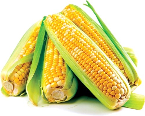 У AgroBrokBot уклали першу угоду по ф'ючерсу на кукурудзу фото, ілюстрація