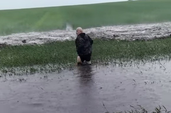 На Дніпропетровщині внаслідок зливи постраждали поля пшениці  фото, ілюстрація