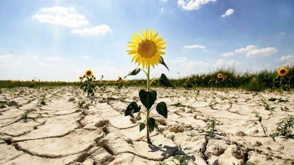 Проблеми зі зміною клімату загрожують центральній Україні фото, ілюстрація