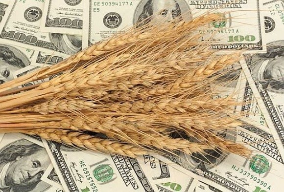 Аналітики очікують зниження експорту пшениці в новому сезоні фото, ілюстрація