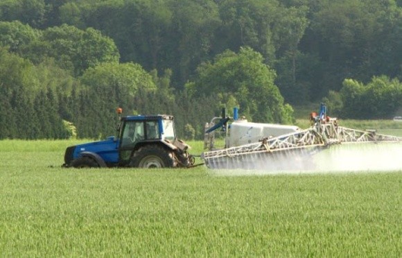 В Україні можуть запровадити допустимий уміст залишків деяких ЗЗР в сільгосппродукції відповідно до вимог ЄС фото, ілюстрація