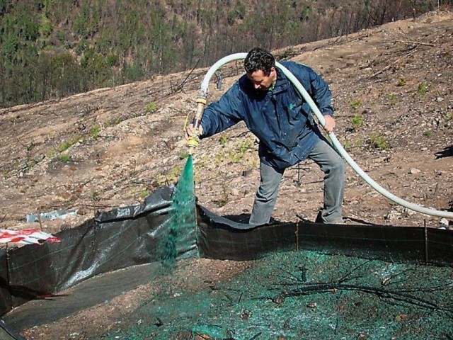 Гідромульча особливо придатна там,  де для контролю бур’янів не вистачає  дозволених активних інгредієнтів