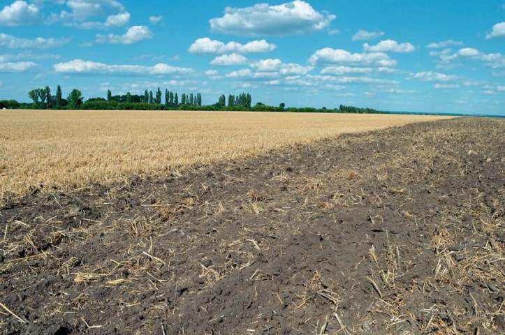 За внесення однієї тонни соломи у ґрунт надходить органічної речовини у вуглецевому еквіваленті у 3,5–4 рази більше, ніж від внесення однієї тонни гною