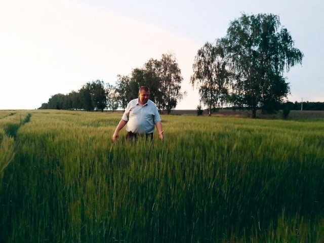 Сергій Доля, директор ТОВ «АГРОЕКСПЕРТ», проводить обстеження насінницьких посівів  на полях господарства