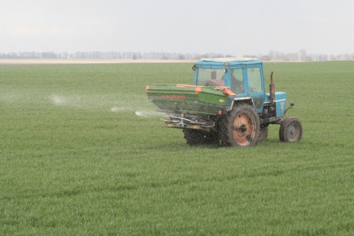 Найголовнішим із агротехнічних заходів ранньовесняного догляду за посівами озимини є азотні підживлення