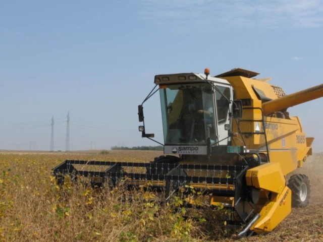 Встановлено, що збирати на насіння сою доцільно за умови повного достигання всіх бобів на рослинах і вологості не більше 16%