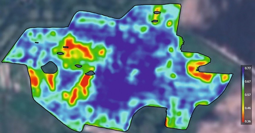 Знімок NDVI на 5 травня 2024 року: рослини розвиваються в залежності від зон продуктивності, демонструючи потенціал врожайності закладений в цих зонах