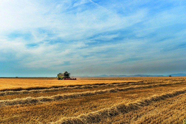 Відновлюване землеробство — одна з ланок, на яку все більше звертають увагу українські підприємства