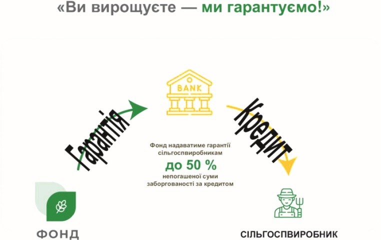 Скажімо, сільгоспвиробник бере 1 млн гривень і 50% цієї застави ми за нього гарантуємо банку. Якщо позичальник відповідає усім критеріям кредитування під гарантії Фонду, то банк, маючи гарантії Фонду, потенційно може надати такому позичальнику вдвічі більше коштів у позику