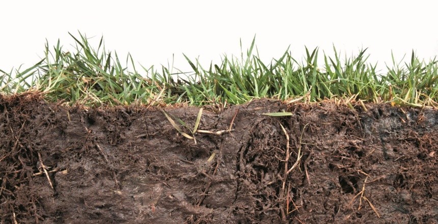 На сьогодні аналіз ґрунту ніхто не робить частіше як один раз на 3-5 років або ж узагалі його не проводять (стосується дрібних господарств)