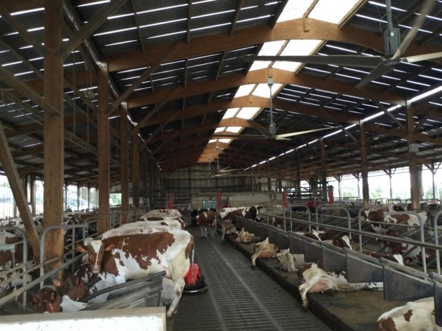 Регіон Бретань лідирує з інноваційного розвитку молочного тваринництва (практично всі провідні позиції у цьому секторі належать бретонським фермерам