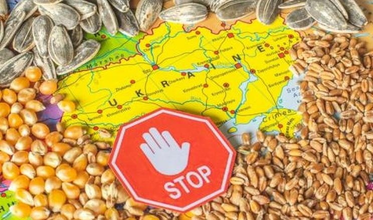 Імпорт української пшениці, кукурудзи, ріпаку та насіння соняшника до Болгарії, Угорщини, Польщі, Румунії та Словаччини залишається під забороною до 15 вересня