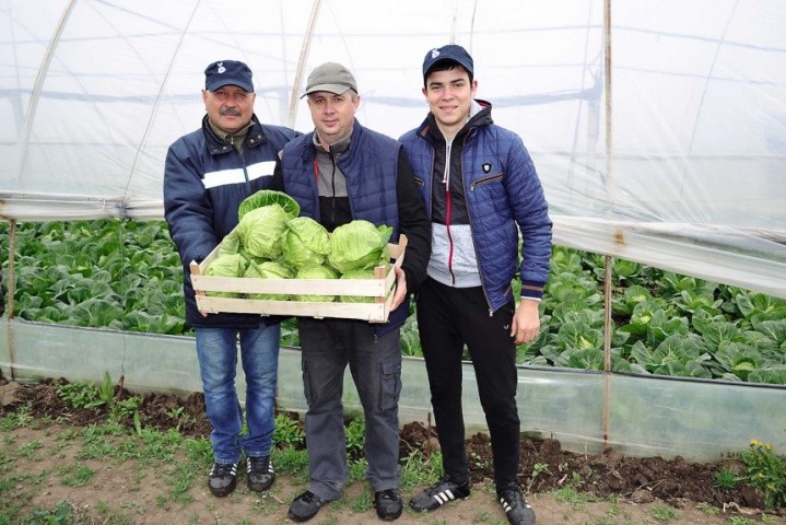 Фермери з Одещини задоволені Раніні