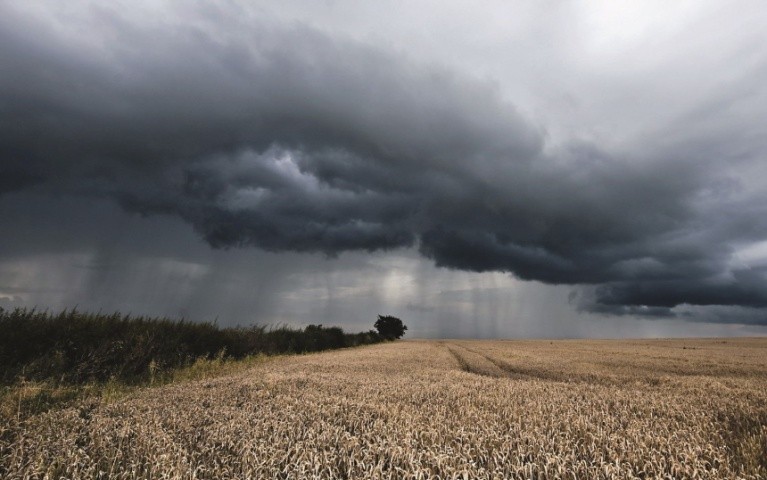 Спрогнозувати клімат не можна, фермер може тільки пристосуватися до погодних умов