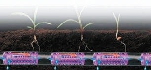 Технологія Root Guard, що захищає крапельниці від проникнення коріння рослин