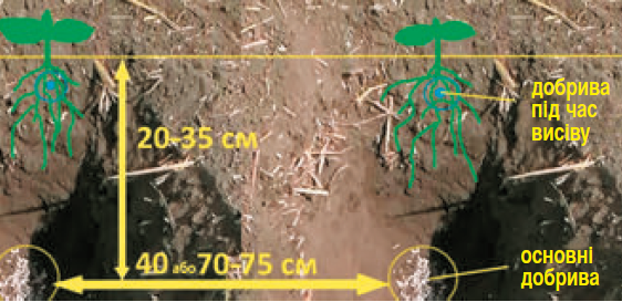 8 - Схема розміщення насіння та добрив у ґрунті за використання Strip Тill. Смуговий обробіток під час вирощування соняшнику: оброблені смуги ґрунту на відстані 45 або 70–75 см одна від одної; глибина розпушування — 20–35 см; внесення основних добрив — глибше, внесення стартової дози добрив — під горизонт посіву